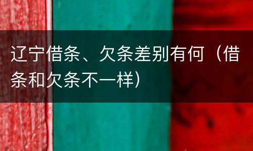 辽宁借条、欠条差别有何（借条和欠条不一样）