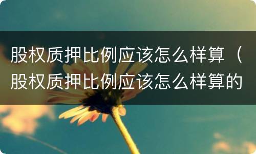 股权质押比例应该怎么样算（股权质押比例应该怎么样算的）