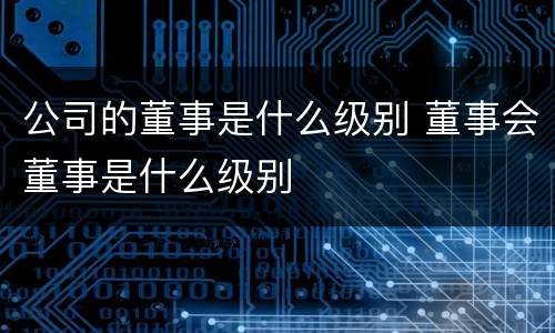 公司的董事是什么级别 董事会董事是什么级别