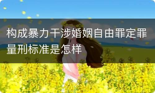 构成暴力干涉婚姻自由罪定罪量刑标准是怎样