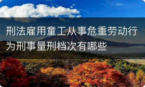 刑法雇用童工从事危重劳动行为刑事量刑档次有哪些