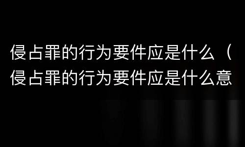 侵占罪的行为要件应是什么（侵占罪的行为要件应是什么意思）