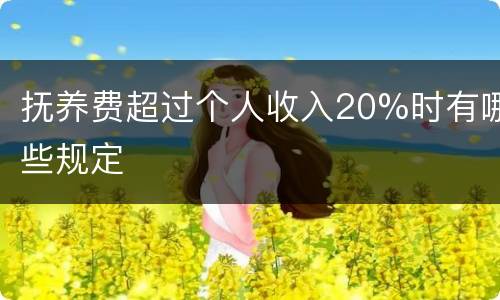 抚养费超过个人收入20%时有哪些规定