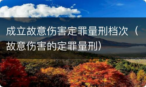成立故意伤害定罪量刑档次（故意伤害的定罪量刑）
