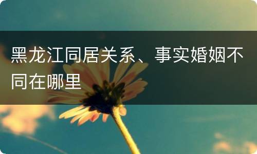 黑龙江同居关系、事实婚姻不同在哪里