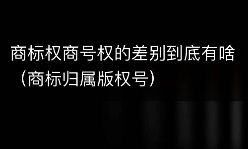 商标权商号权的差别到底有啥（商标归属版权号）