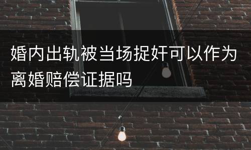 婚内出轨被当场捉奸可以作为离婚赔偿证据吗