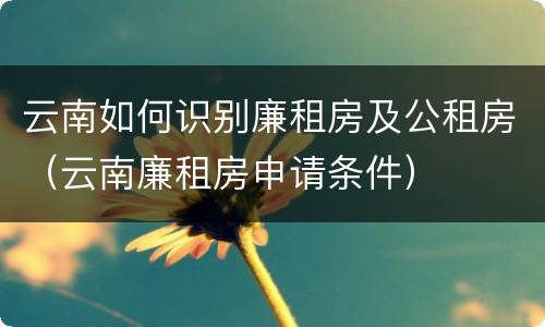 云南如何识别廉租房及公租房（云南廉租房申请条件）