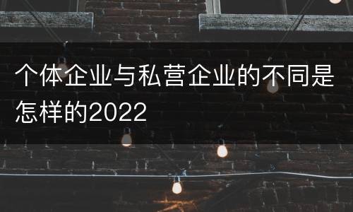 个体企业与私营企业的不同是怎样的2022