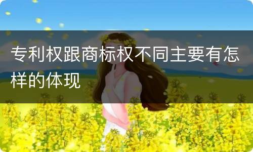专利权跟商标权不同主要有怎样的体现