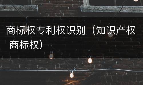 商标权专利权识别（知识产权 商标权）