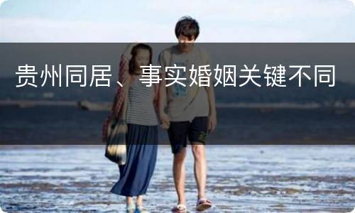 贵州同居、事实婚姻关键不同
