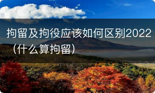 拘留及拘役应该如何区别2022（什么算拘留）