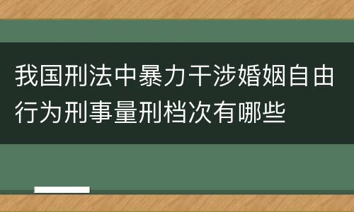 我国刑法中暴力干涉婚姻自由行为刑事量刑档次有哪些