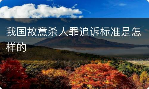 我国故意杀人罪追诉标准是怎样的