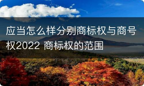 应当怎么样分别商标权与商号权2022 商标权的范围
