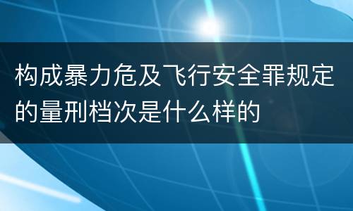 构成暴力危及飞行安全罪规定的量刑档次是什么样的