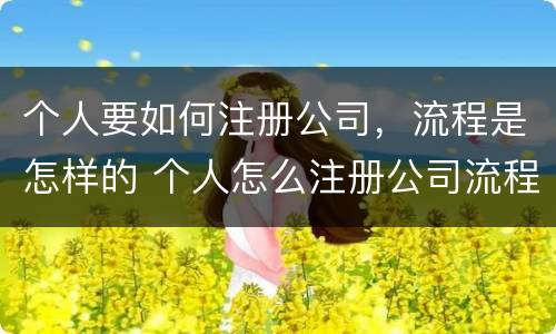 个人要如何注册公司，流程是怎样的 个人怎么注册公司流程
