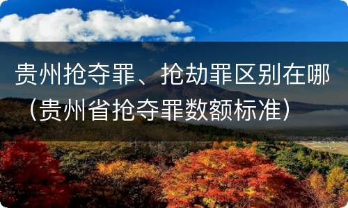 贵州抢夺罪、抢劫罪区别在哪（贵州省抢夺罪数额标准）