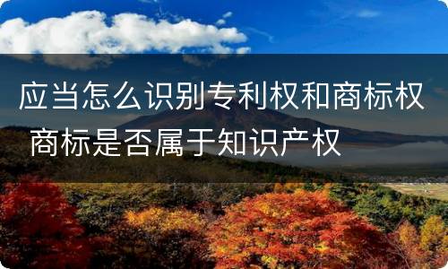 应当怎么识别专利权和商标权 商标是否属于知识产权