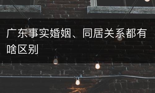 广东事实婚姻、同居关系都有啥区别