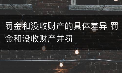 罚金和没收财产的具体差异 罚金和没收财产并罚