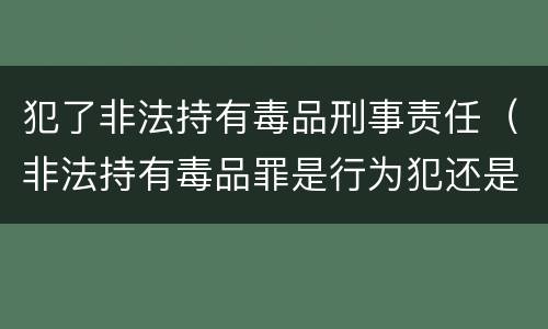 犯了非法持有毒品刑事责任（非法持有毒品罪是行为犯还是结果犯）