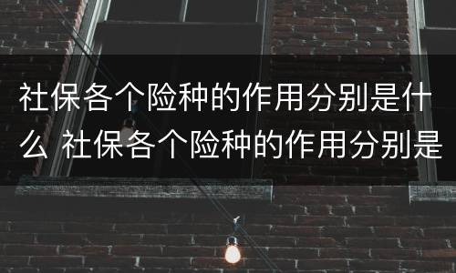社保各个险种的作用分别是什么 社保各个险种的作用分别是什么意思