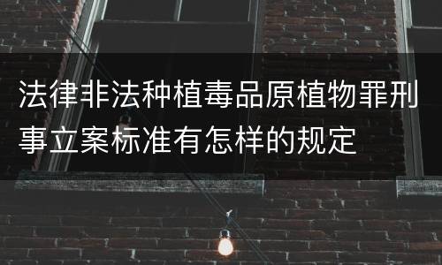 法律非法种植毒品原植物罪刑事立案标准有怎样的规定