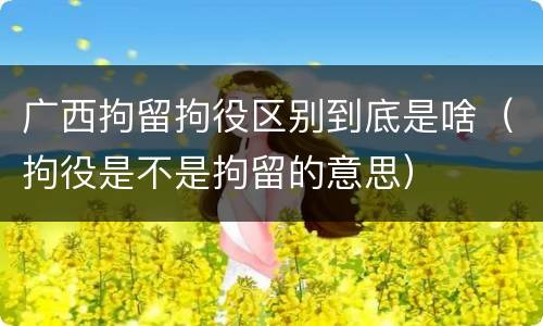 广西拘留拘役区别到底是啥（拘役是不是拘留的意思）