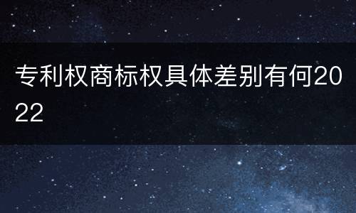 专利权商标权具体差别有何2022