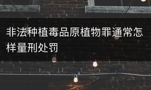 非法种植毒品原植物罪通常怎样量刑处罚