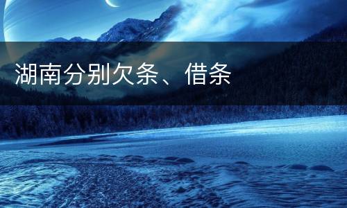 湖南分别欠条、借条