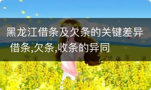黑龙江借条及欠条的关键差异 借条,欠条,收条的异同