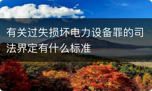 有关过失损坏电力设备罪的司法界定有什么标准
