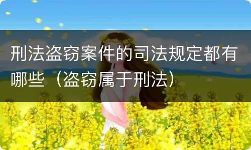 刑法盗窃案件的司法规定都有哪些（盗窃属于刑法）