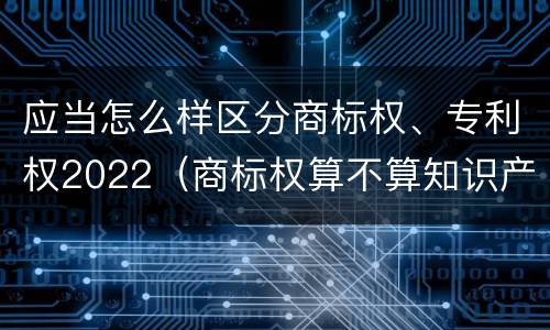 应当怎么样区分商标权、专利权2022（商标权算不算知识产权）