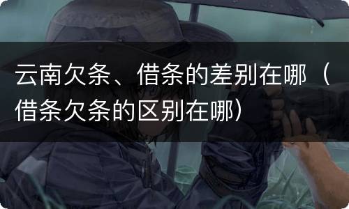 云南欠条、借条的差别在哪（借条欠条的区别在哪）