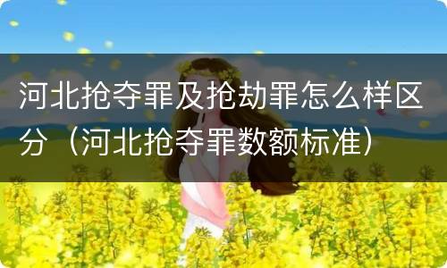 河北抢夺罪及抢劫罪怎么样区分（河北抢夺罪数额标准）