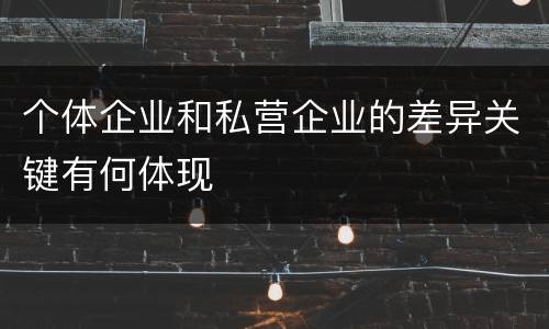 个体企业和私营企业的差异关键有何体现