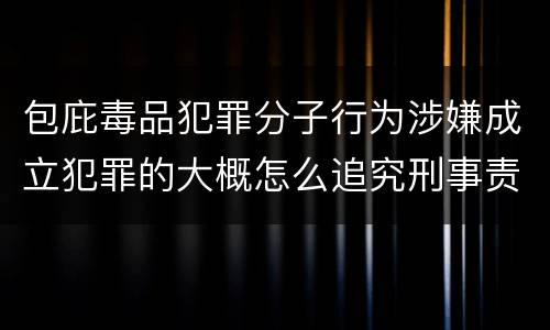 包庇毒品犯罪分子行为涉嫌成立犯罪的大概怎么追究刑事责任