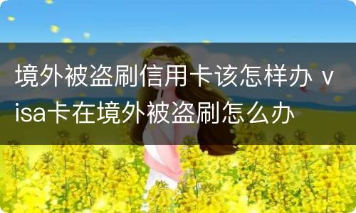 境外被盗刷信用卡该怎样办 visa卡在境外被盗刷怎么办