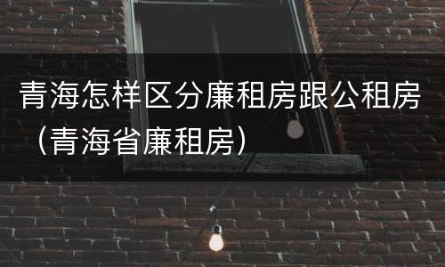 青海怎样区分廉租房跟公租房（青海省廉租房）