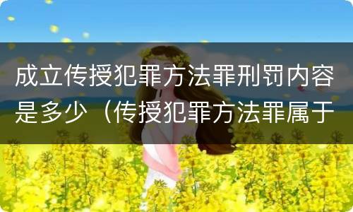 成立传授犯罪方法罪刑罚内容是多少（传授犯罪方法罪属于什么罪）