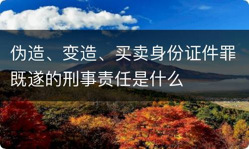 伪造、变造、买卖身份证件罪既遂的刑事责任是什么
