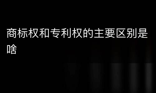 商标权和专利权的主要区别是啥