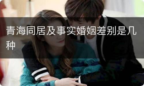 青海同居及事实婚姻差别是几种