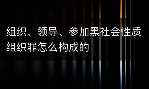 组织、领导、参加黑社会性质组织罪怎么构成的