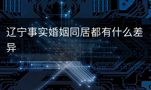 辽宁事实婚姻同居都有什么差异