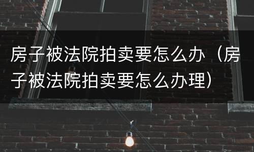 房子被法院拍卖要怎么办（房子被法院拍卖要怎么办理）